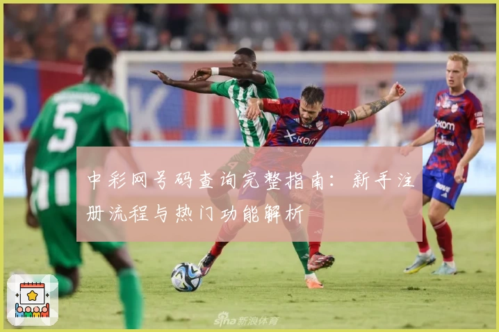 中彩网号码查询完整指南：新手注册流程与热门功能解析