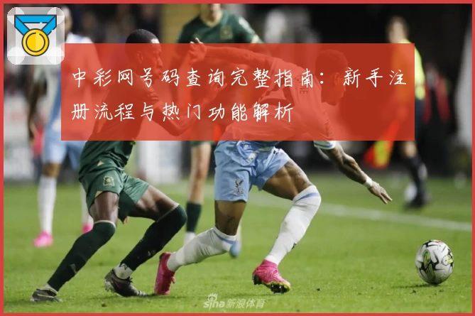 中彩网号码查询完整指南：新手注册流程与热门功能解析