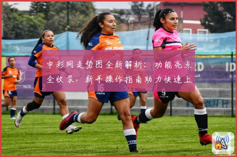 中彩网走势图全新解析：功能亮点全收录，新手操作指南助力快速上手