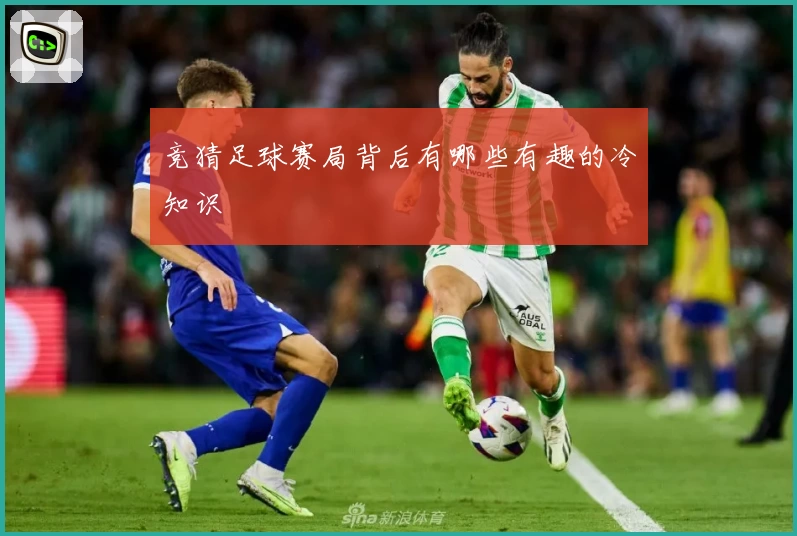 竞猜足球赛局背后有哪些有趣的冷知识
