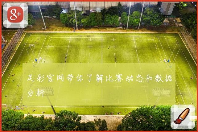 足彩官网带你了解比赛动态和数据分析