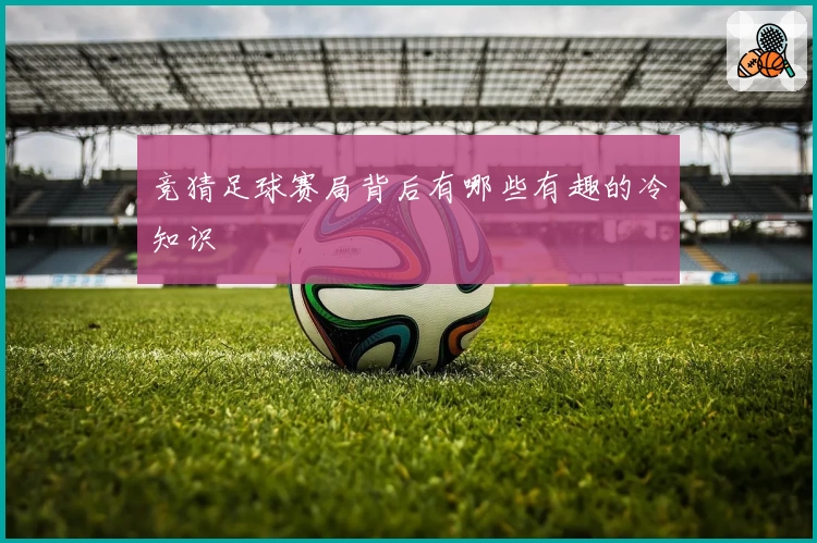 竞猜足球赛局背后有哪些有趣的冷知识